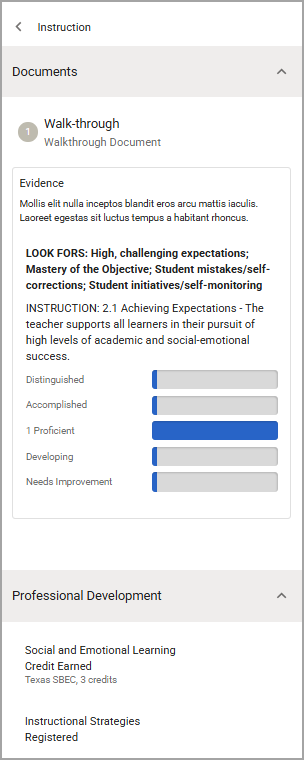 Summative Panel overview highlighting framework tag evidence and professional development credits earned.